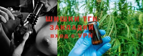 гашик Алзамай